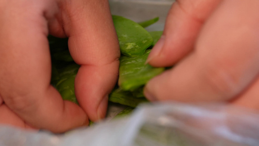 处理清洗荷兰豆蔬菜维生素视频