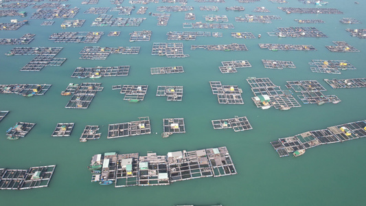 蓝色海洋大海海鲜养殖基地航拍视频