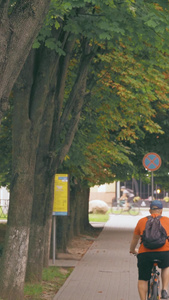 秋天城市街景骑自行车的人绿色出行视频