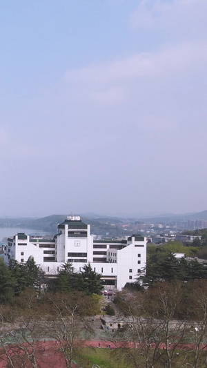 航拍武汉大学校园樱花大道樱顶古建筑素材樱花素材39秒视频