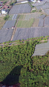 航拍农业种植基地视频