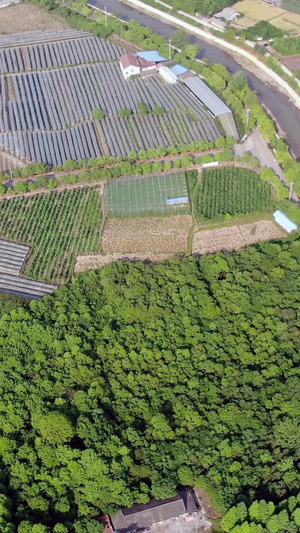 航拍农业种植基地65秒视频