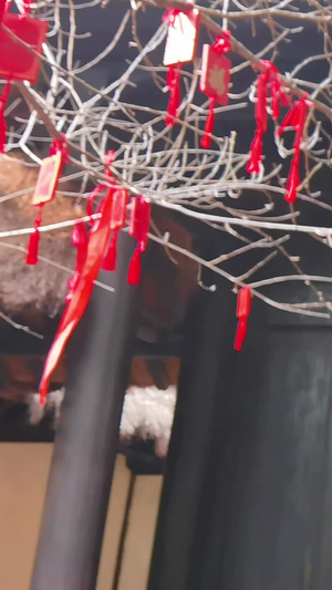 过新年人们讲祈福牌挂上枝头祈祷来年好运中国文化40秒视频