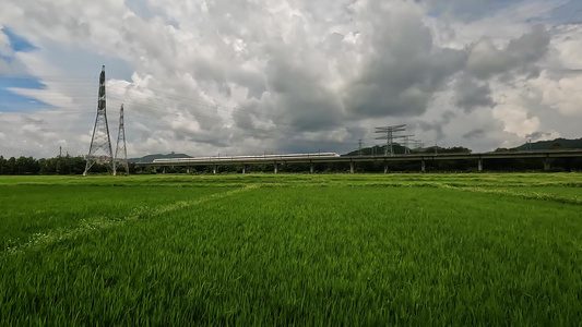 稻田高铁行驶视频