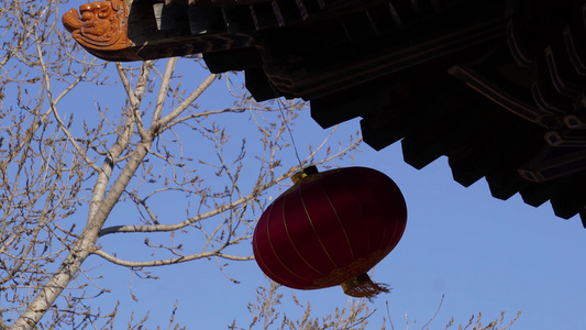 摇摆的红灯笼和中国古典建筑视频