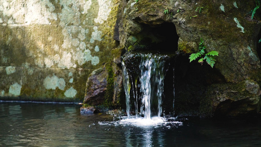 山泉水出水口视频