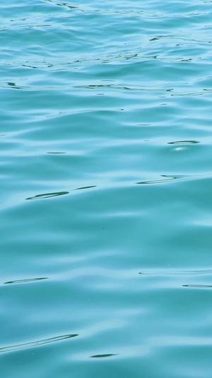 大海的波纹13秒视频