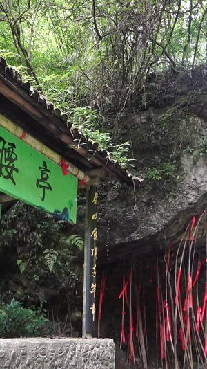  国家5A级旅游景区重庆黑山谷撑腰亭负氧离子养生19秒视频