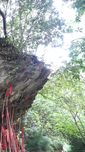  国家5A级旅游景区重庆黑山谷撑腰亭低碳旅游19秒视频