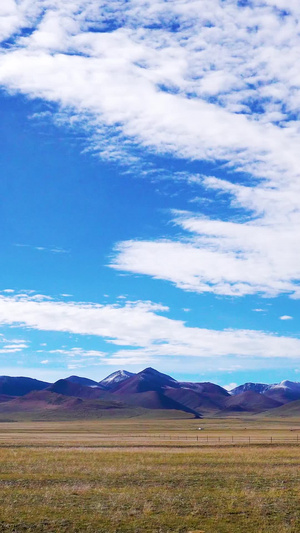 雪山下的秋季草原22秒视频