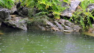 春季梅雨季节水滴湖水纹25秒视频