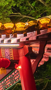 中国风建筑夜景灯光延时人流古风园林视频
