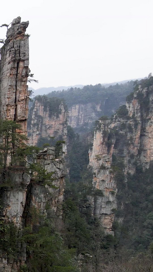 航拍湖南张家界武陵源奇峰怪石5A景点30秒视频