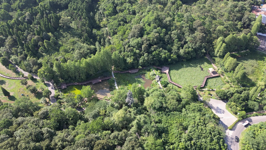 航拍湖北襄阳植物园植物 视频