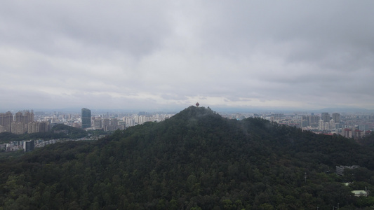 云雾中的城市视频