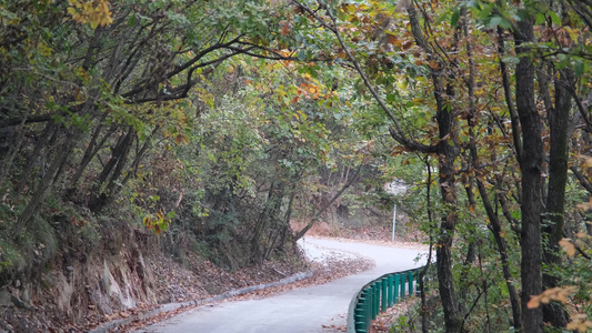 秋天山林中的小路视频