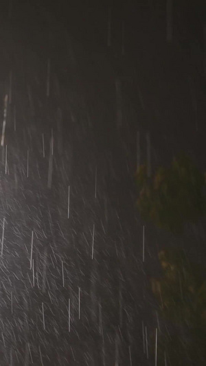 素材慢镜头升格拍摄城市雨季夜晚路灯雨水雨滴慢动作51秒视频