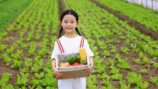 菜地里小女孩怀捧着的蔬菜看向镜头视频