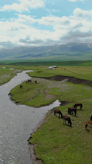 5A景区那拉提草原河流毡房与马群放牧视频新疆旅游58秒视频
