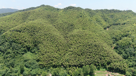 航拍大自然大山竹林视频