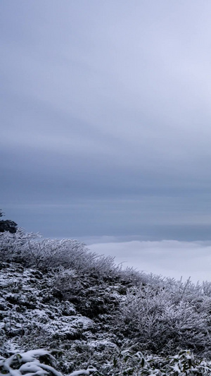 南川金佛山金龟朝阳雪山云海延迟拍摄5A景区12秒视频