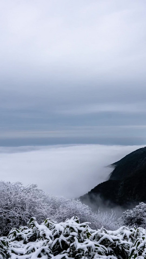 南川金佛山金龟朝阳雪山云海延迟拍摄5A景区12秒视频