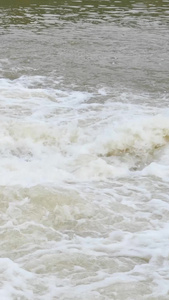 实拍河流洪水水花视频