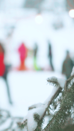 冬季户外滑雪运动场游玩的人拿着滑雪板的人14秒视频