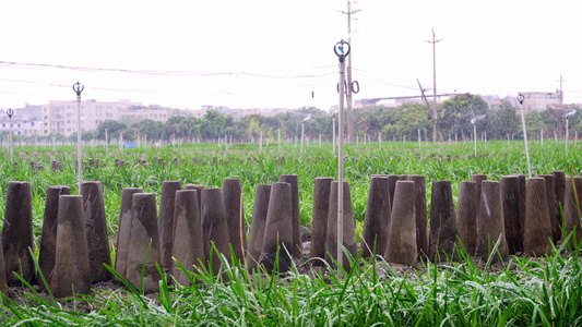 4K实拍农业农田灌溉植物生长视频素材视频