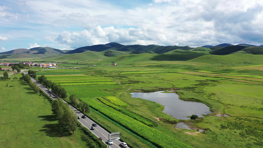 航拍承德丰宁七彩森林景色  坝上草原风景视频