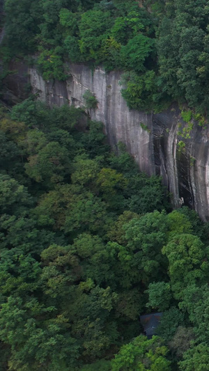 5A洛阳白云山九龙大峡谷景观区会龙瀑布航拍视频旅游景区49秒视频