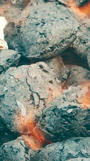 烧烤生火煤炭添加助燃剂自助烧烤12秒视频