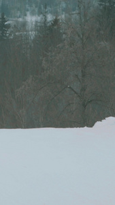 冬季滑雪场徐徐上升的缆车单板滑雪视频