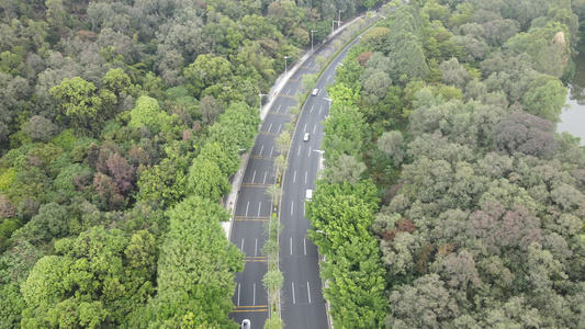 山间公路视频