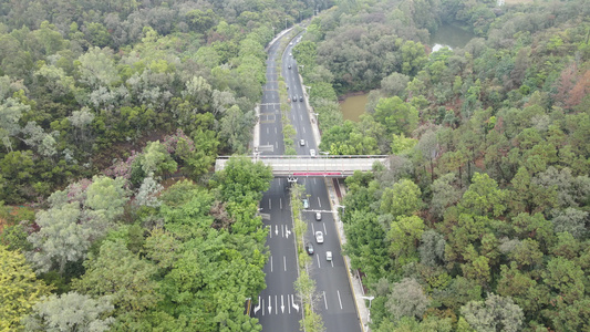 山间公路视频