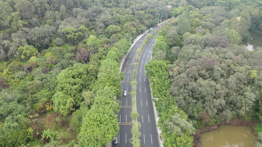 山间公路视频