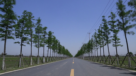 郊区农村道路视频