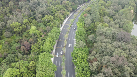 山间公路视频