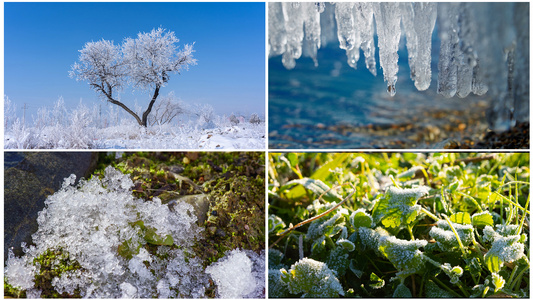 春天冰雪融化万物复苏视频