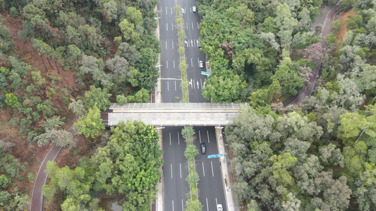 山间公路视频