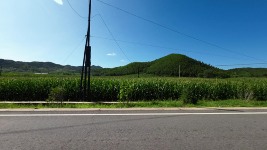 实拍开车沿途风景  开车视角 行车风景视频