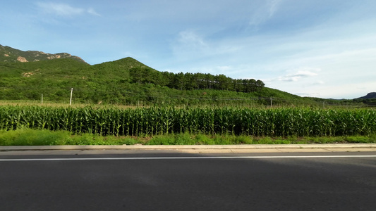 实拍开车沿途风景  开车视角 行车风景视频