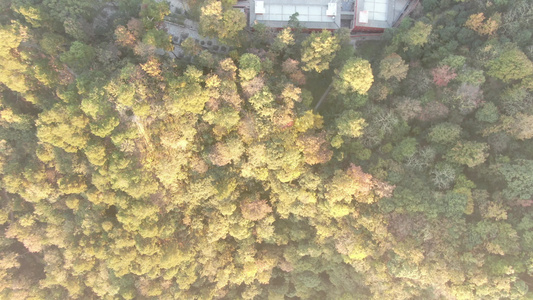 航拍贵州黔灵山秋天风景弘福寺视频