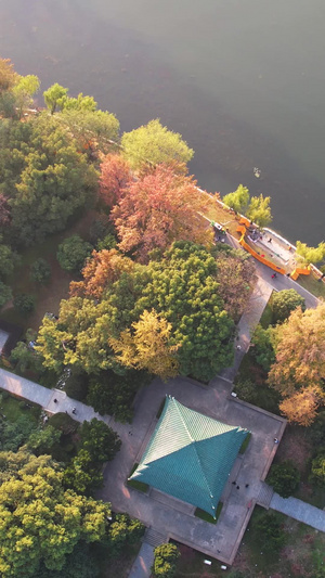 航拍城市秋色秋天季节自然风光公园绿道湖景素材城市素材56秒视频