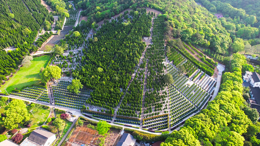 4K航拍传统节日清明节墓地公墓墓碑悼念视频