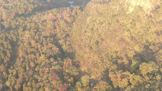 航拍贵州黔灵山秋天风景弘福寺视频