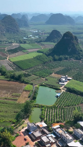 高清竖屏航拍崇左扶绥美丽风景视频