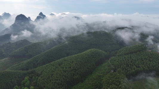 云雾原始森林大自然航拍视频