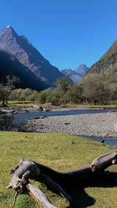 旅游景区四姑娘山双桥沟景点人参果坪视频合集四川旅游视频