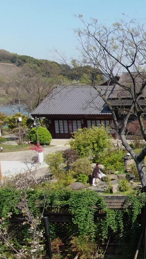 航拍5A景点拈花湾小镇香月花街视频旅游目的地70秒视频